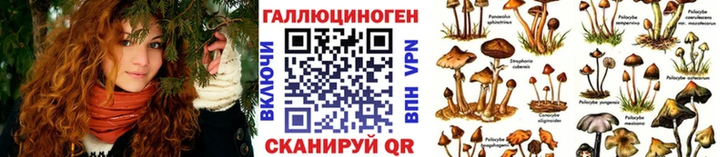 Псилоцибиновые грибы Cubensis  Купить  Дубна 